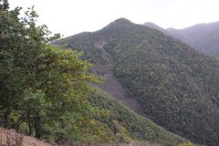 ارزیابی جنگل‌های دیزمار آذربایجان شرقی در راستای ثبت جهانی