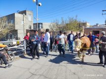 مراسم آیینی ۳۶ امین روز بهار روستای اسفنجان شهرستان اسکو